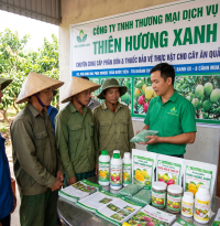 Thiên Hương Xanh: Đồng Hành Cùng Nhà Vườn Nâng Tầm Nông Sản Việt Xuất Khẩu