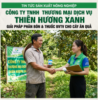 Thiên Hương Xanh – Giải Pháp Nông Nghiệp Bền Vững Cho Cây Ăn Quả Năng Suất Cao