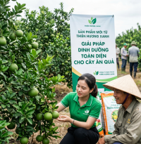 Giải Pháp Chăm Sóc Cây Ăn Quả Giai Đoạn Mùa Mưa Cùng Thiên Hương Xanh