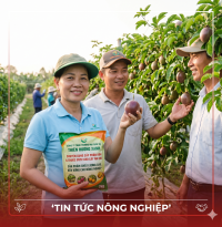 Thiên Hương Xanh – Giải Pháp Phân Bón Và Thuốc Bảo Vệ Thực Vật Toàn Diện Cho Cây Ăn Quả