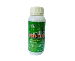 CANXI BO 500ML