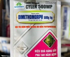 SIÊU BÃ TRẦU - CYLEN