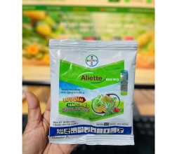 ALIETTE 800WG