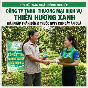 thien-huong-xanh-giai-phap-nong-nghiep-ben-vung-cho-cay-an-qua-nang-suat-cao