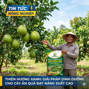bi-quyet-tang-nang-suat-cay-an-qua-cung-giai-phap-nong-nghiep-thien-huong-xanh
