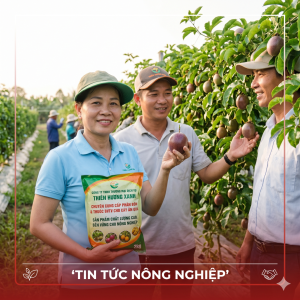 thien-huong-xanh-giai-phap-phan-bon-va-thuoc-bao-ve-thuc-vat-toan-dien-cho-cay-an-qua
